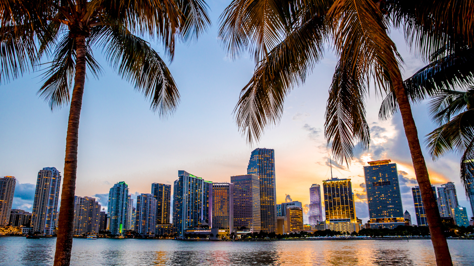 Florida skyline with palm trees